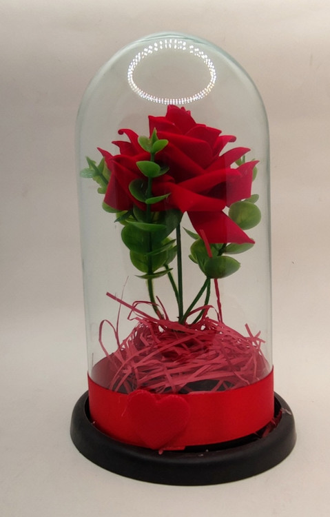 بطری استوانه ای گل سایز متوسط برای هدیه